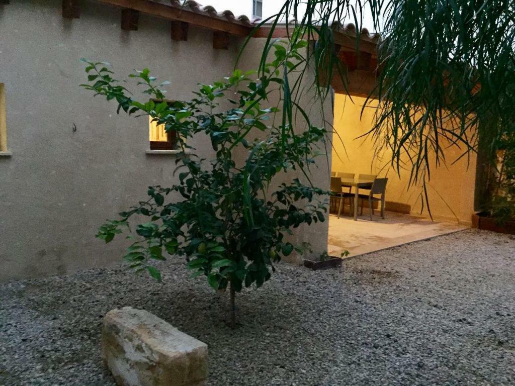 Almahome El Arenal  Buitenkant foto